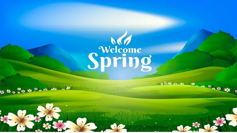 Spring Hillmedgroup Com