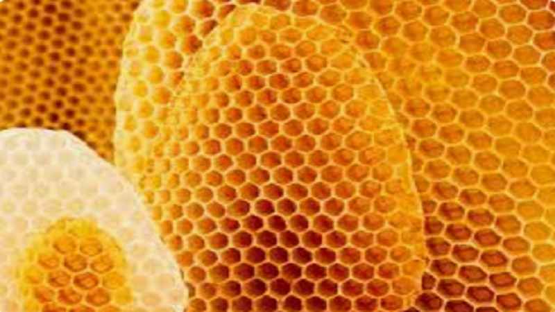 Honey Beeswax for Sale