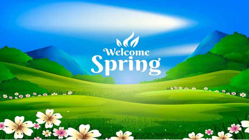 Spring HillMedGroup.com